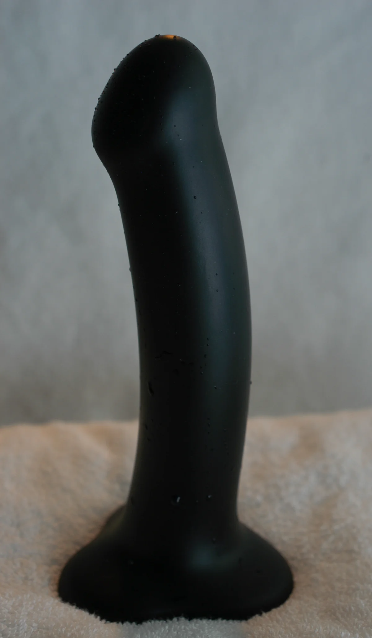 A black silicone dildo with a suction-cup base